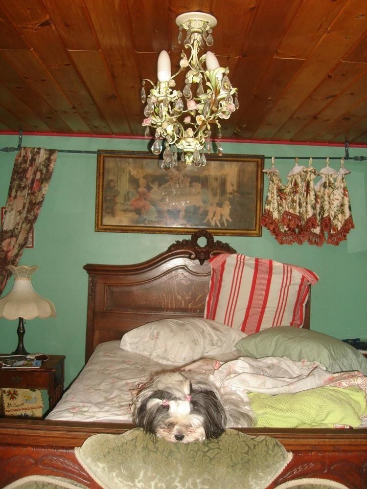 Enchanted Nights Bed & Bath Kittery Extérieur photo
